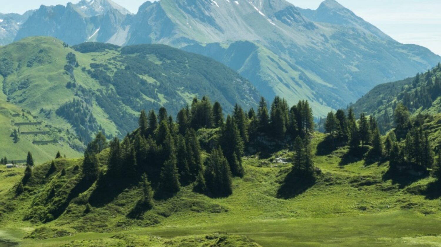Bregenzer Wald in Voralberg - Urlaub im Chalet in Österreich - ChaletZeit