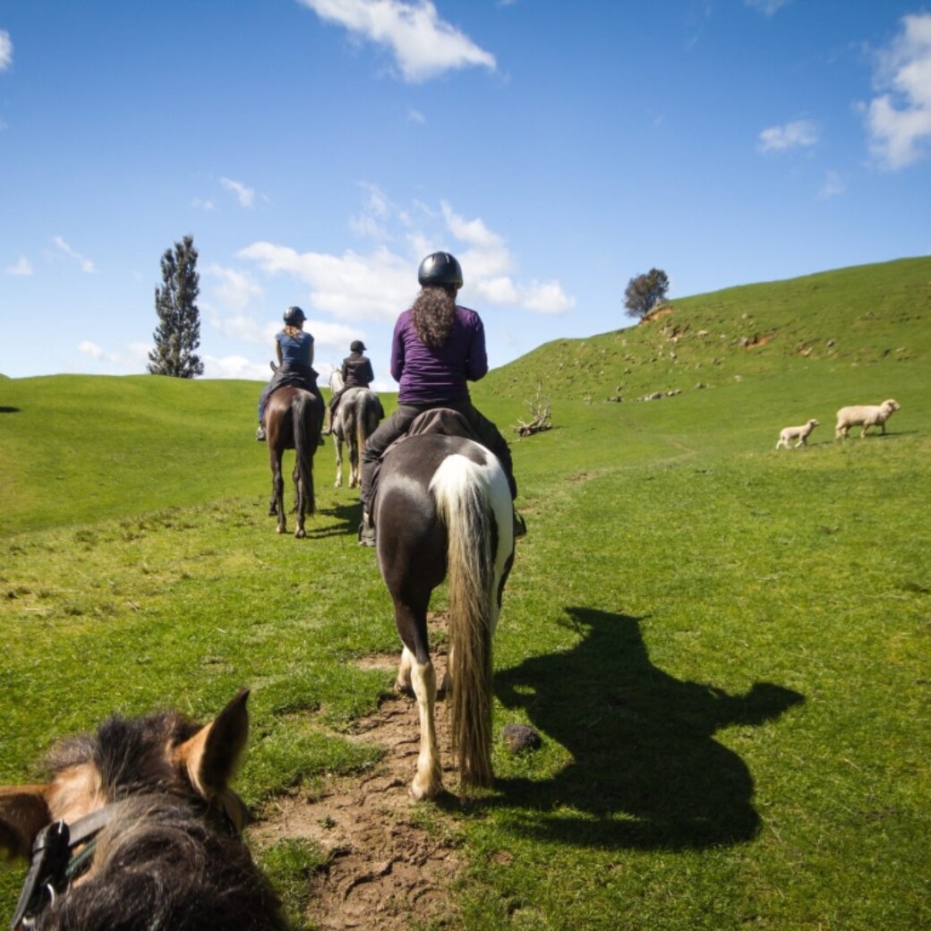 Reiten im Reiturlaub in Österreich - Chaleturlaub im Chaletdorf Österreich - ChaletZeit