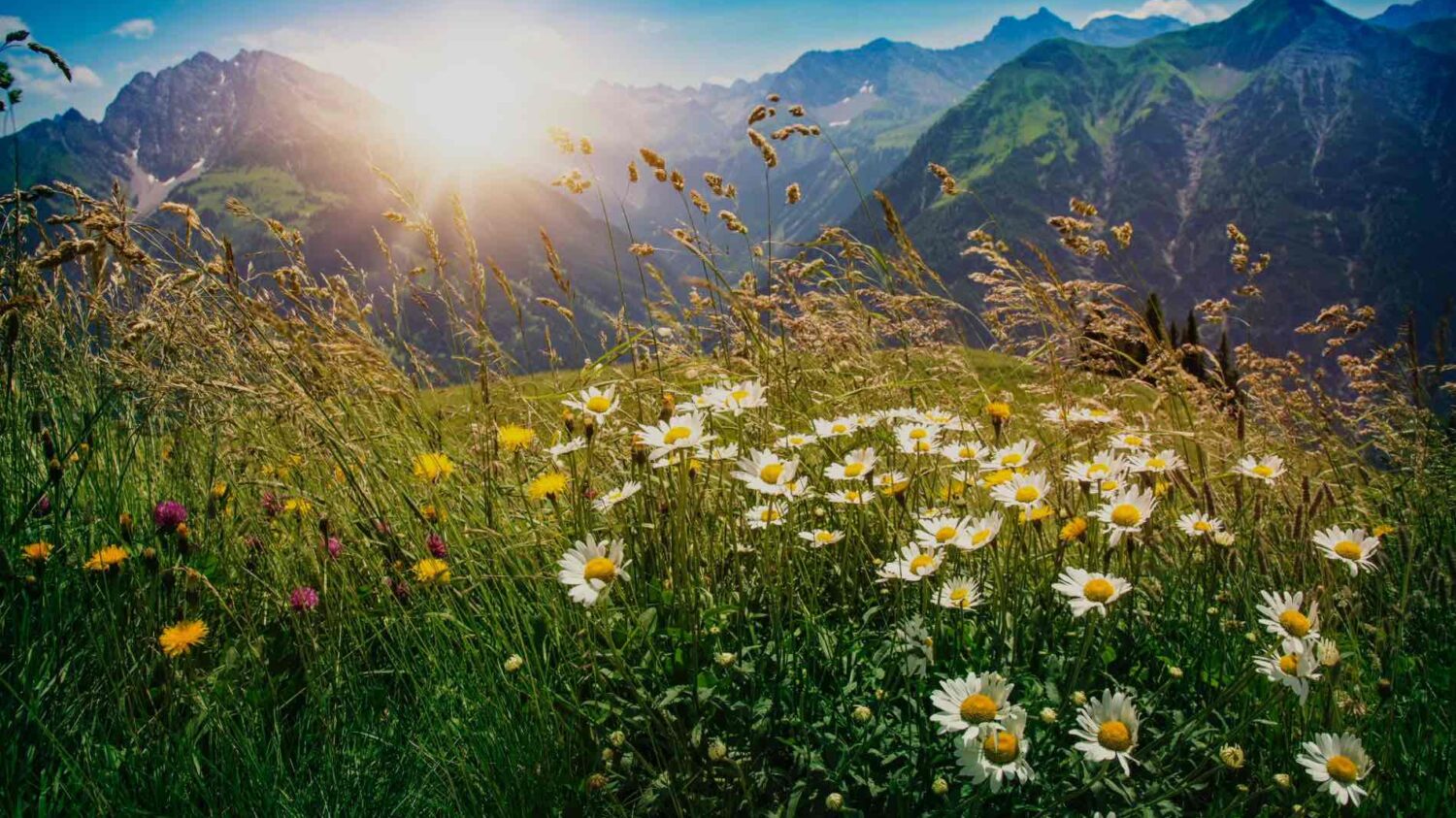 Sommerurlaub im Chalet in den Bergen - Chaletdorf in Österreich - ChaletZeit