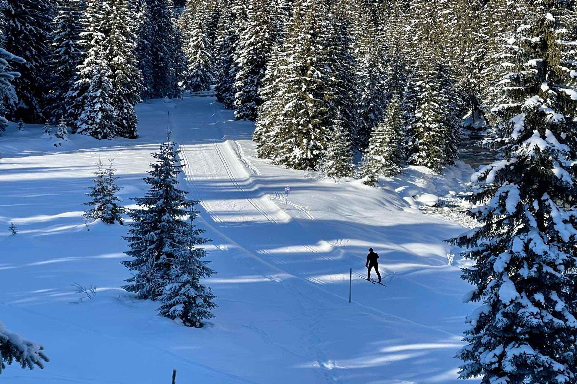 Langlaufen in Österreich - Lech und Zürs am Arlberg